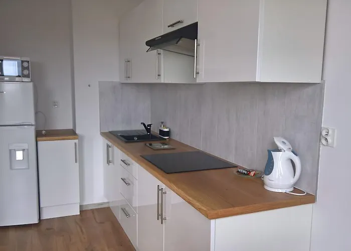 アパート Oder Apartments- Private Parking