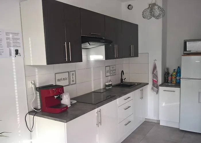 Oder Apartments- Private Parking * シュチェチン