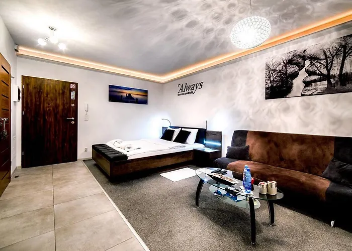 Oder Apartments- Private Parking シュチェチン